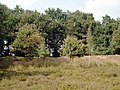 Miniatuur voor Bossen, heiden en valleigebieden van Zandig Vlaanderen: westelijk deel