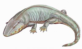 Sclerocephalus