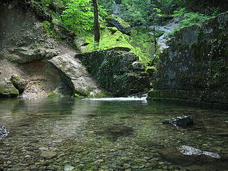 The source of the Allondon in Échenevex