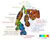 Cell populations in a high-dimensional mass-cytometry dataset.