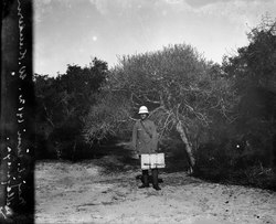 Karl Afzelius, nordvästra Madagaskar strax utanför Mahajanga. Foto: Walter Kaudern 1912