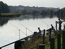 Fishing on the Trent near Hazelford Ferry, 2009 Summer on the river^ - geograph.org.uk - 1536008.jpg