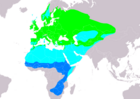 Aire de répartition de la Fauvette grisette