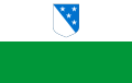 ヴァルガ県の旗