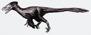 English: velociraptor Deutsch: Velociraptor