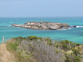 Вид на остров Пингвинов с мыса Мартин, Южная Австралия.JPG