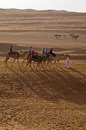 Wahiba Sands Wahiba Sands (33).jpg