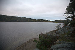 Ålevattens vestlige del fra den nordlige strand