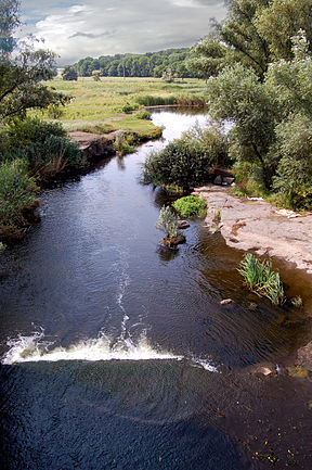 Upė ties Kamianka