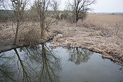 Річка в селі Панський Міст