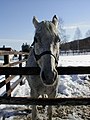 2016年3月4日 (金) 16:39時点における版のサムネイル