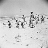 British troops dig in at El Alamein during the battle, 4 July 1942 1stElAlamein1.jpg