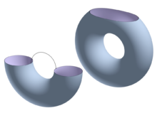 The Morse theory of the height function on a torus can describe its homotopy type. 3D-Cylinder with handle and torus with hole.png