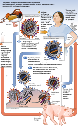 Antigenic shift