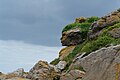 Tête d'Indien dans les rochers, archipel des Ébihens (Bretagne, France).