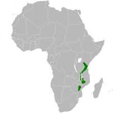 Arizelocichla milanjensis distribution map.png