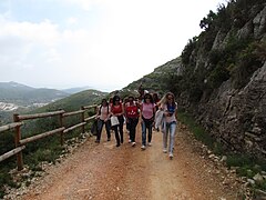 Arrivée de Sant Antoni à l'ermitage.