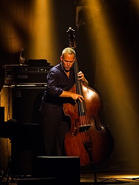 Avishai Cohen (commons)