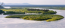 Miniatura para Río Nushagak