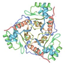 Chloramphenicol acetyltransferase 3CLA transparent.png