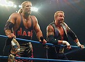 Nash (left) is a nine-time WCW World Tag Team Champion - with two of those reigns alongside Diamond Dallas Page (right). DDP Nash.jpg