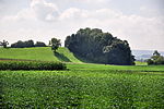 De Chreebuck, frühmittelalterliche Siedlung und Gräberfeld