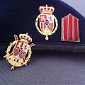 Distintivos de boina de Felipe VI y Juan Carlos I