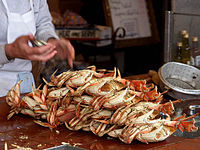 Dungeness crabs sind eine der Delikatessen in San Francisco