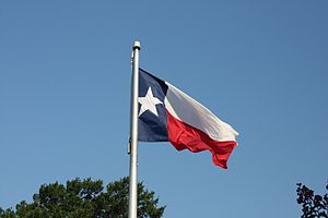 English: The flag of Texas flying in Austin