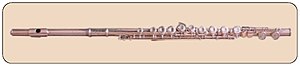 A picture of a Western concert flute