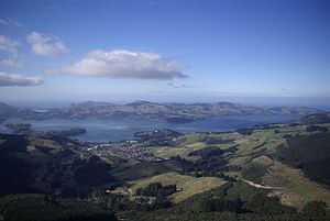 Sawyers Bay seen from Mt Cutten