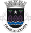 Blason de Gouveia