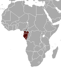 Distribución del talapoin norteño