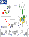 Vorschaubild der Version vom 22:03, 13. Mai 2006