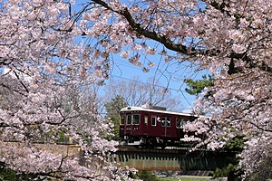 春の夙川橋梁を渡る甲陽線6000系