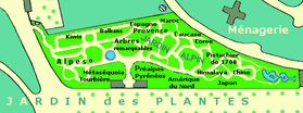 Image illustrative de l’article Jardin alpin (jardin des plantes de Paris)