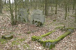 Cemetery in Kolonia Lisewo