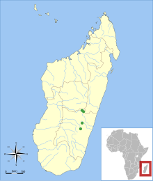 Miniopterus manavi range.svg