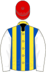Yellow and royal blue stripes, white sleeves, red cap