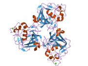 2d39: Trivalent Recognition Unit of Innate Immunity System; Crystal Structure of human M-ficolin Fibrinogen-like Domain