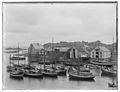 Havnen 1909