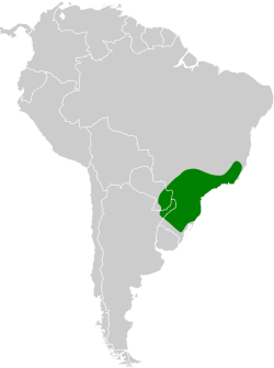 Distribución geográfica del mosquerito verdoso.