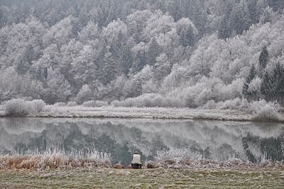 Slika:PodpeskoJezero-zima.JPG