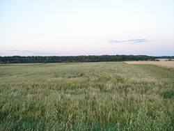 Hình nền trời của Huyện Hrubieszowski
