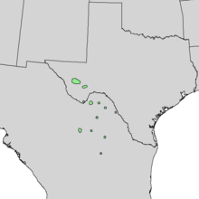 Quercus gravesii range map 1.png