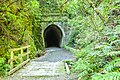 Bridge and southern portal of Summit Tunnel