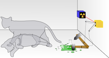 English: Diagram of Schrodinger's cat theory. ...