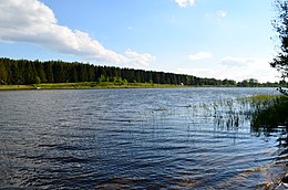 Ežeras nuo Vargulių pusės