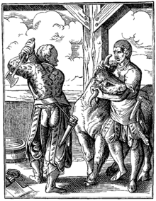 The Butcher and his Servant (1568), drawn and engraved by Jost Amman The Butcher and his Servant drawn and engraved by J Amman Sixteenth Century.png