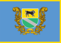 ヴェルフニョドニプローシクの市旗